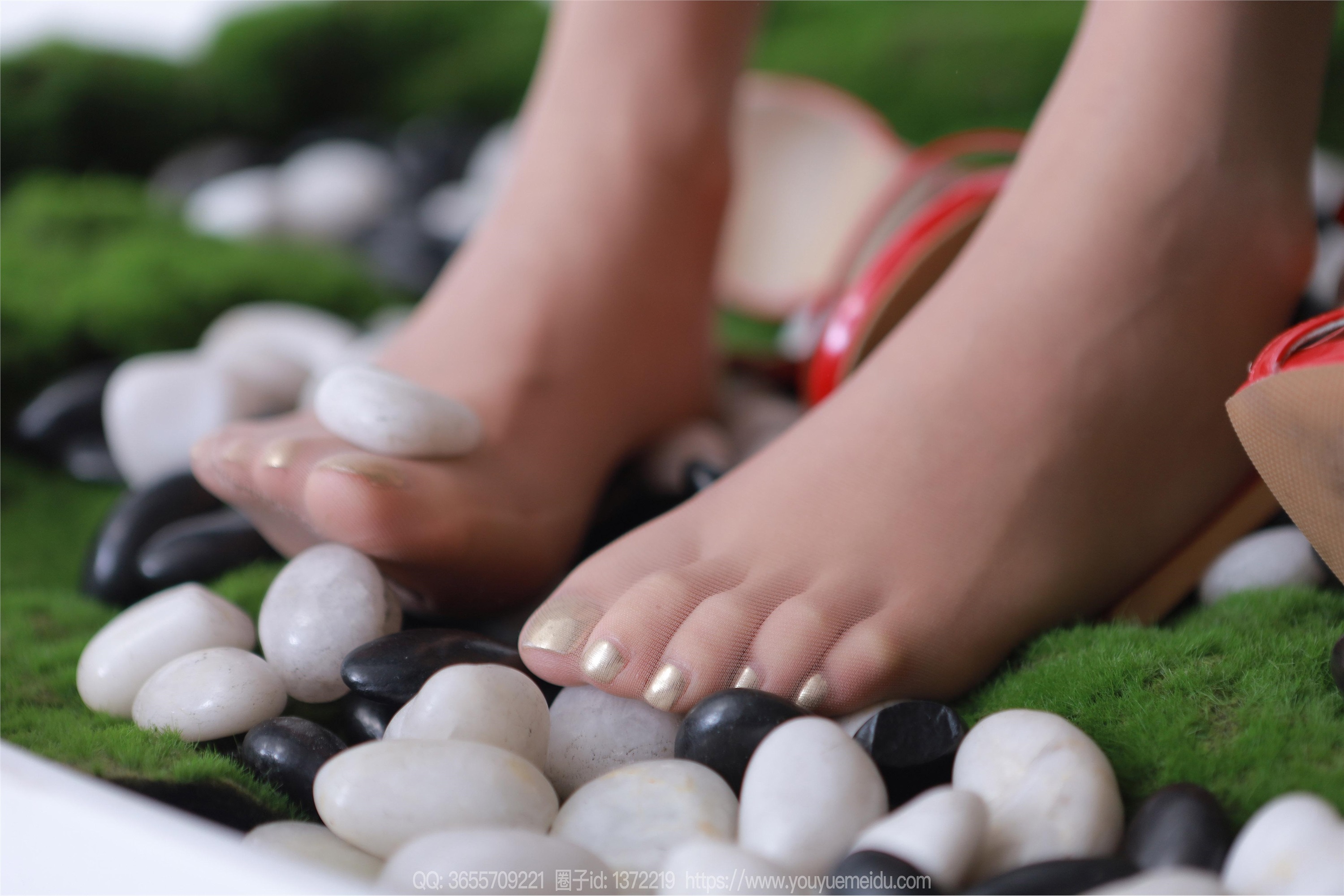 IESS异思趣向  2024.04.16 丝享家 1717 婉萍《绿野仙踪》